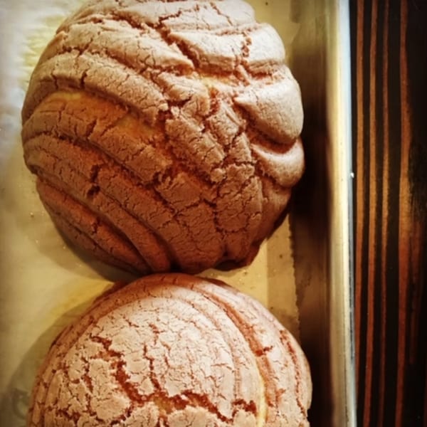 Two freshly baked conchas, a traditional Mexican sweet bread, in a baking pan.