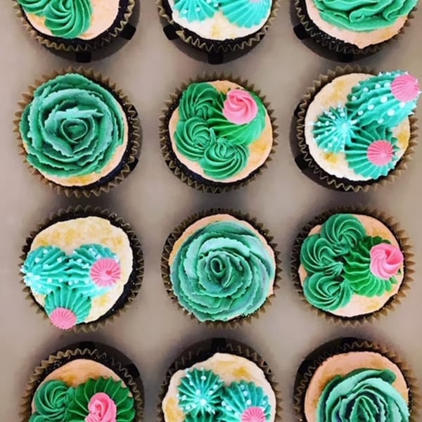 A dozen cupcakes with green and pink frosting resembling succulents and cacti.